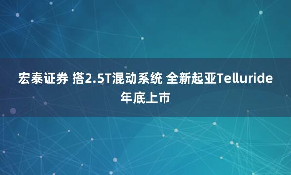 宏泰证券 搭2.5T混动系统 全新起亚Telluride年底上市