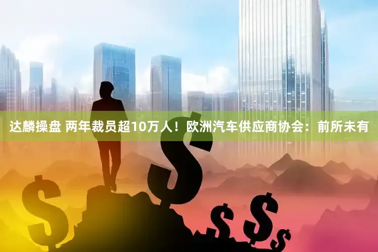 达麟操盘 两年裁员超10万人！欧洲汽车供应商协会：前所未有