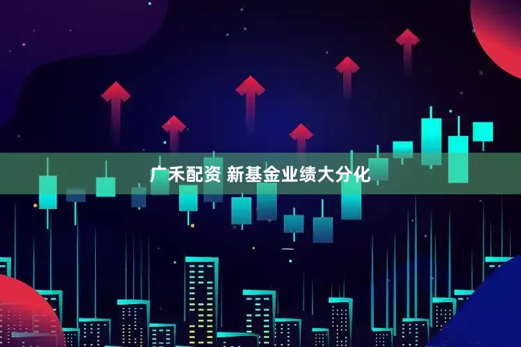 广禾配资 新基金业绩大分化