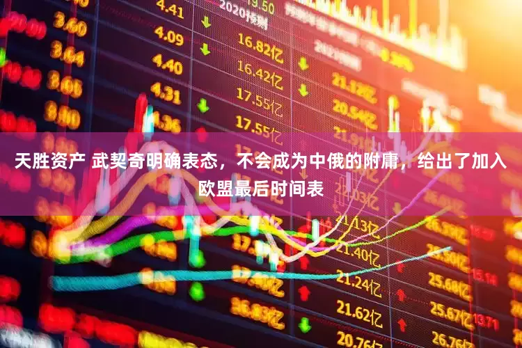 天胜资产 武契奇明确表态，不会成为中俄的附庸，给出了加入欧盟最后时间表