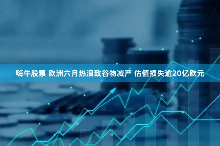 嗨牛股票 欧洲六月热浪致谷物减产 估值损失逾20亿欧元